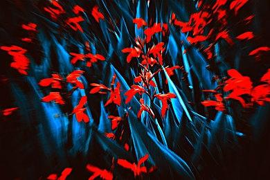 远程撤销游戏授权 SE开始处理泄露的《新美妙世界》游戏许可